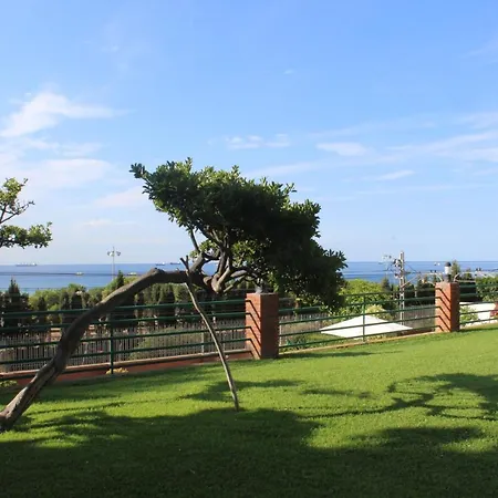 With Seaview Pool Robert D'aguilo
